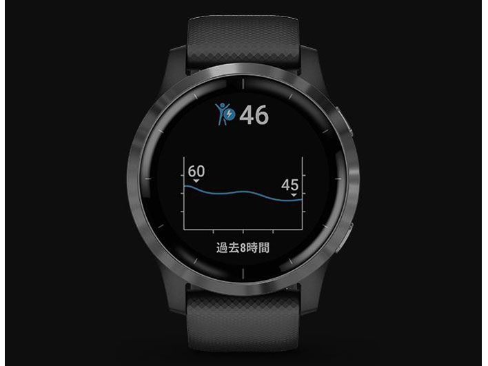 vivoactive 4 010-02174-17 [Black/Slate]