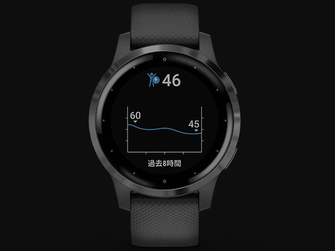 vivoactive 4S 010-02172-17 [Black/Slate]
