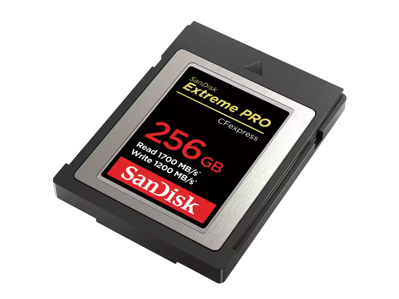 SDCFE-256G-JN4IN [256GB]