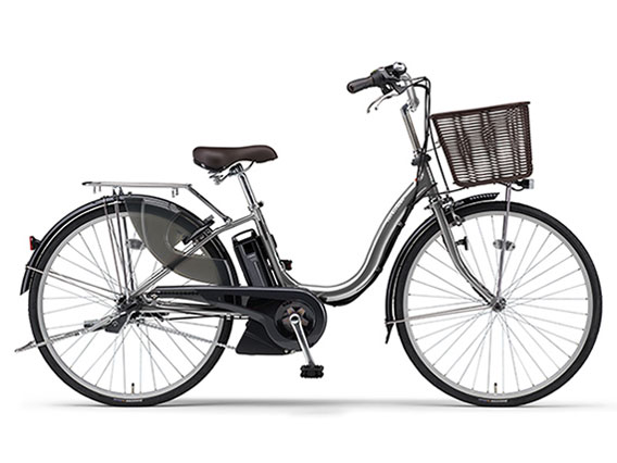 PAS Cheer PA24CH [�~���[�V���o�[] + ��p�[�d�� �̐��i�摜