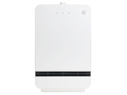 DSF-TN12 �̐��i�摜