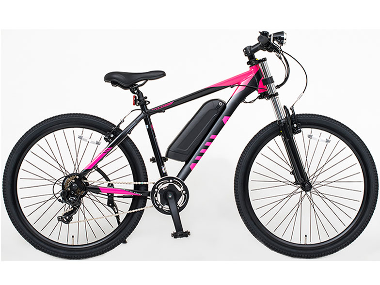 たけし専用 PTM] ブロックロス 龍神丸 魔神英雄伝ワタル プラモデル(BCW-004