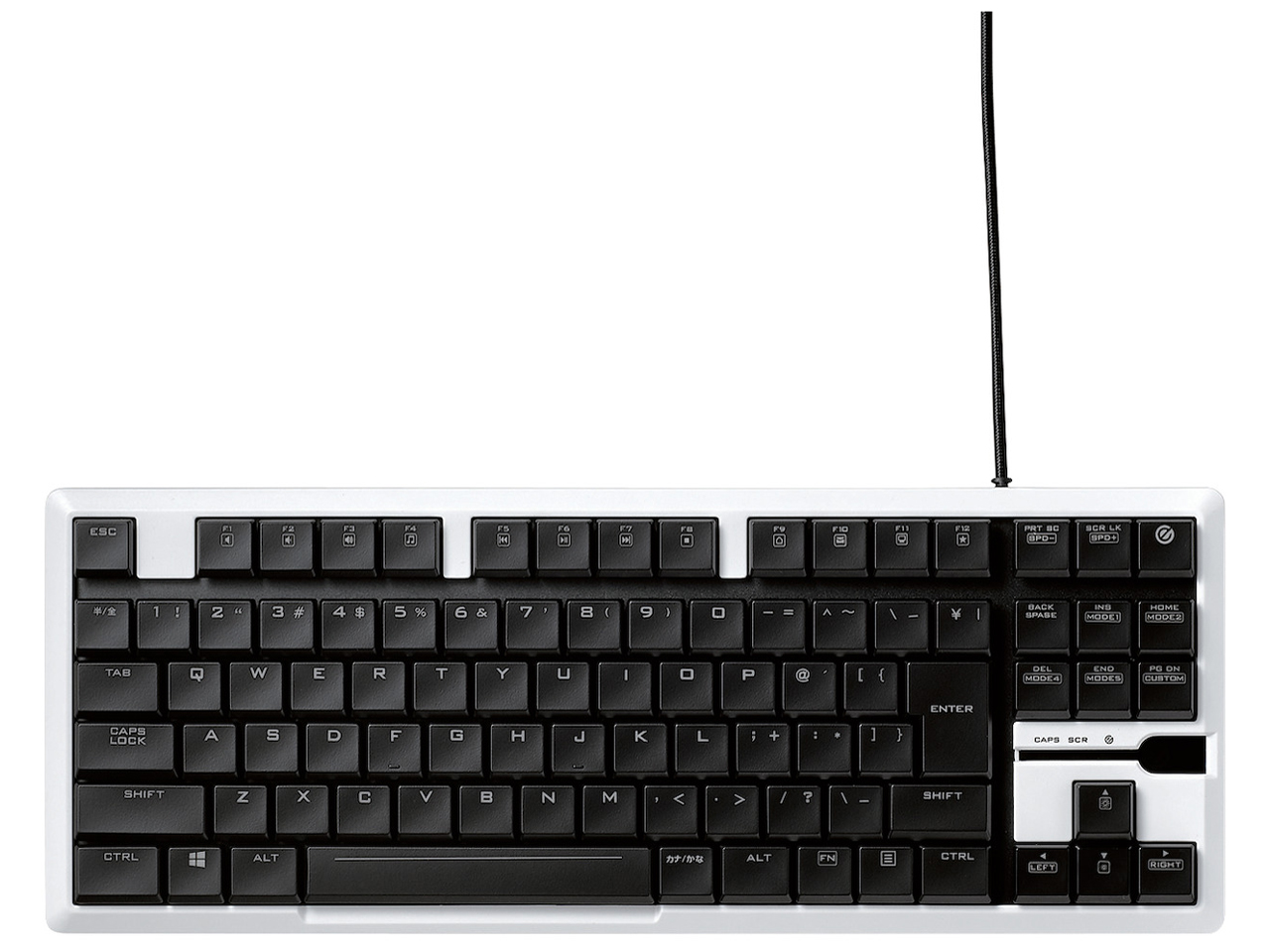 ARMA TK-ARMA30WH [�z���C�g]