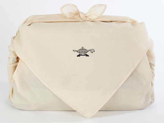 Aladdin �O���t�@�C�g�O�����[ CAG-G13B