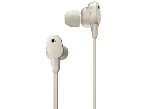 WI-1000XM2 (S) [�v���`�i�V���o�[]