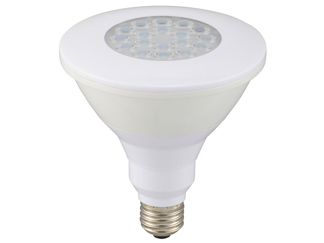 LDR13R-W/D 11 [�ԐF]