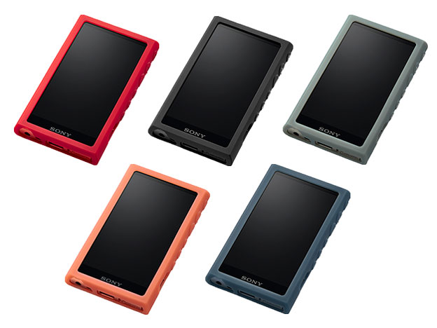 CKM-NWA100 (G) [�A�b�V���O���[��]