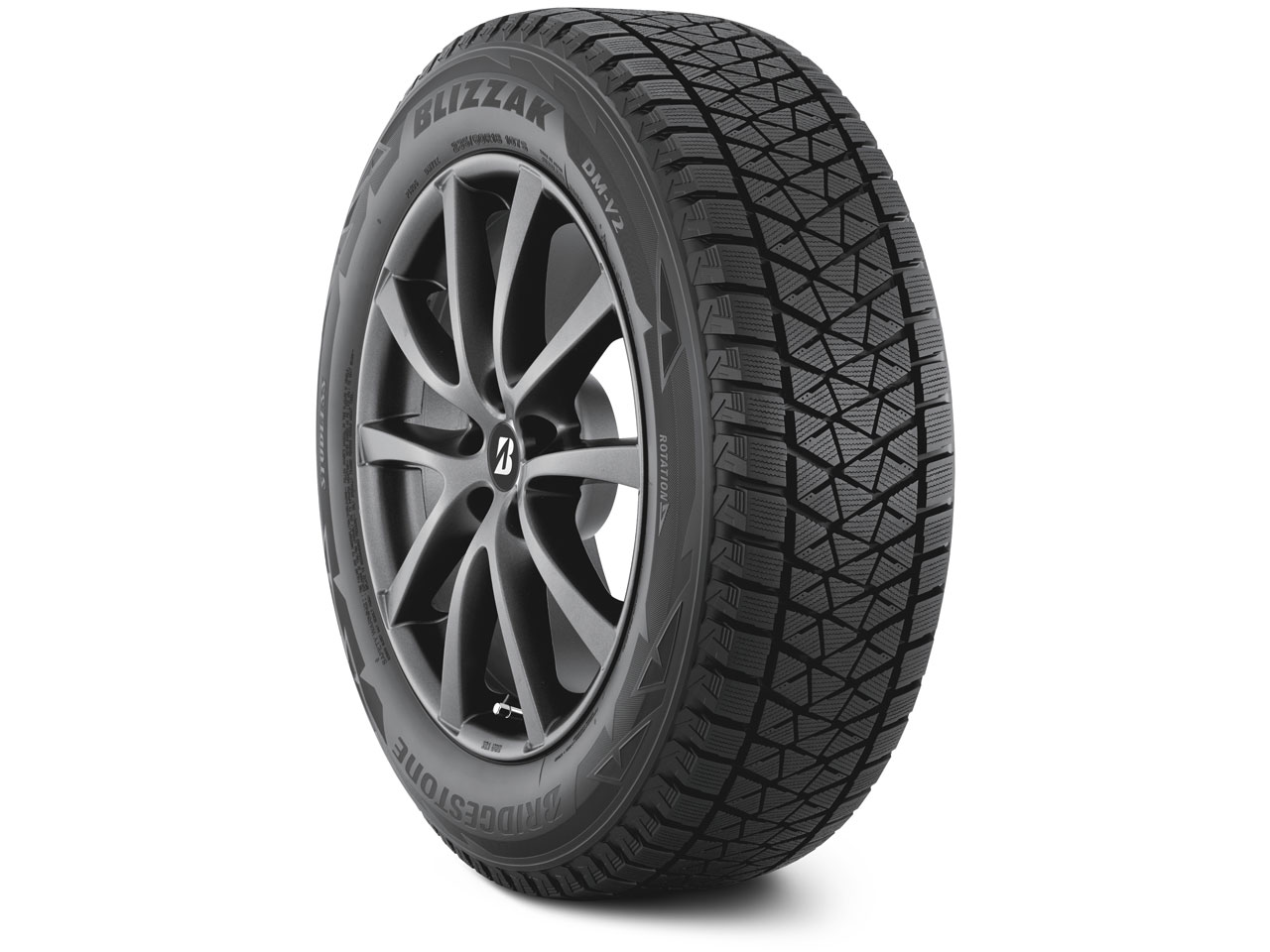 BLIZZAK DM-V2 255/70R18 112S �̐��i�摜