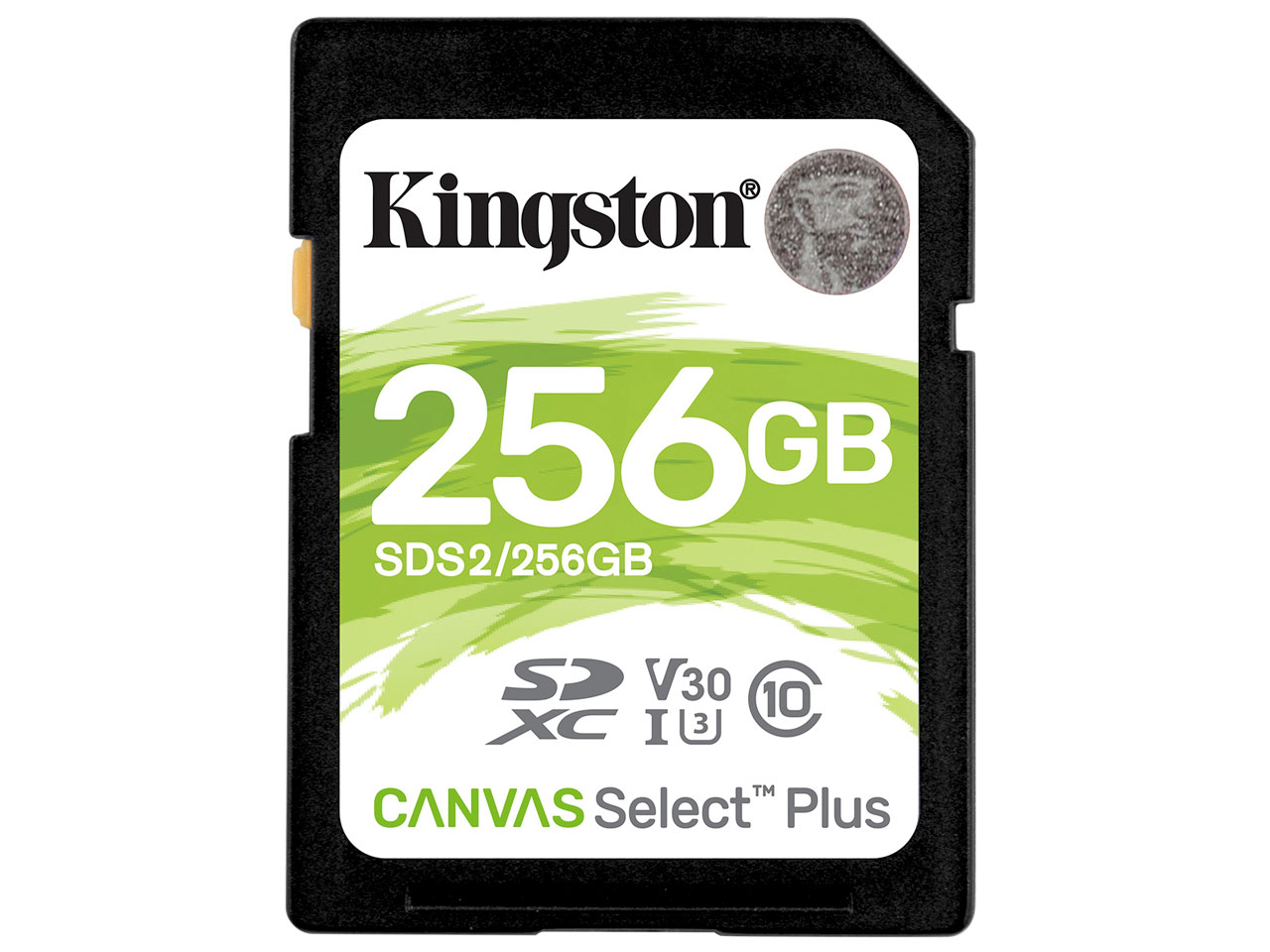 SDS2/256GB [256GB] �̐��i�摜