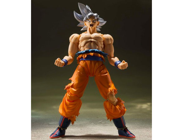 S.H.Figuarts ����� �g����̋Ɉ�