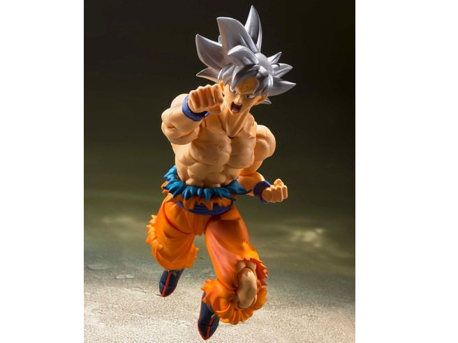 S.H.Figuarts ����� �g����̋Ɉ�