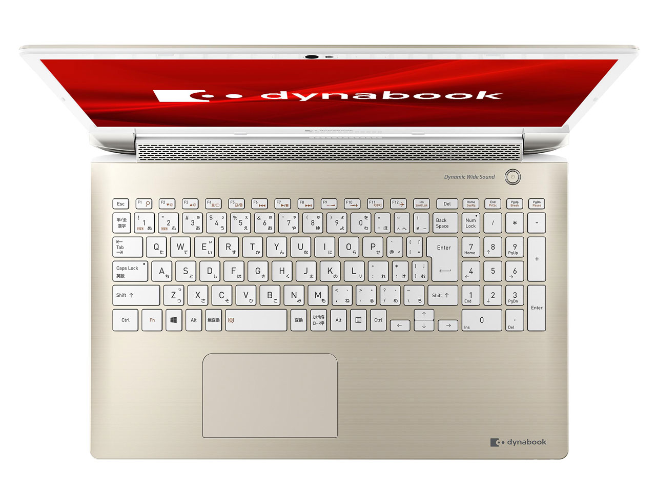 dynabook T9 P2T9LPBG [�T�e���S�[���h]