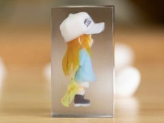 �͂��炭�זE ������ �t���J���[3D�N���X�^���t�B�M���A