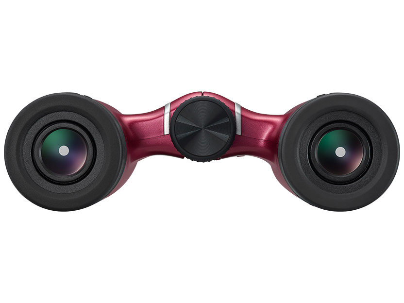 ACULON T02 8x21 [���b�h]