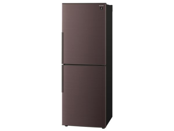 SJ-PD28F-T [�u���E���n]