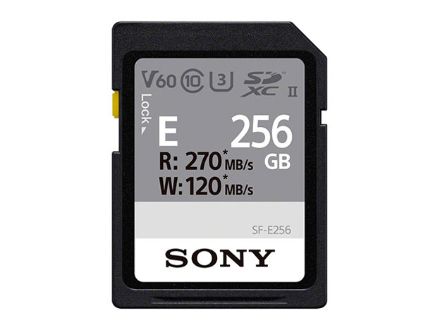 SF-E256 [256GB] �̐��i�摜