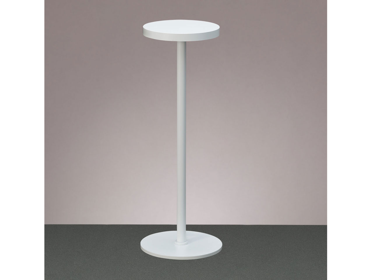 Z-LIGHT ZR-1W [�z���C�g] �̐��i�摜