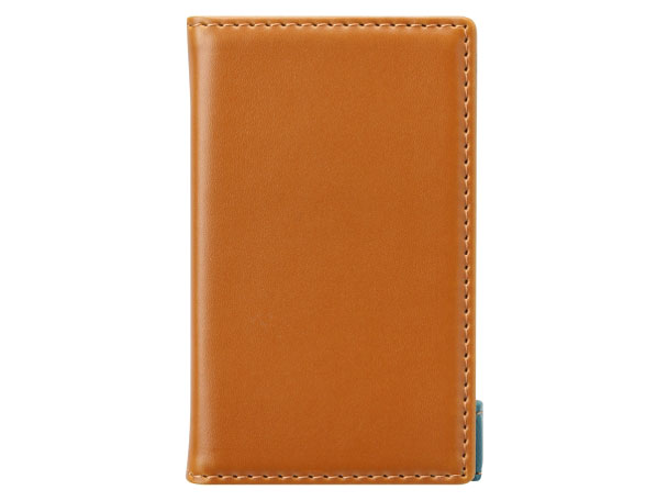 PG-WA100FP1CM [�L������] �̐��i�摜