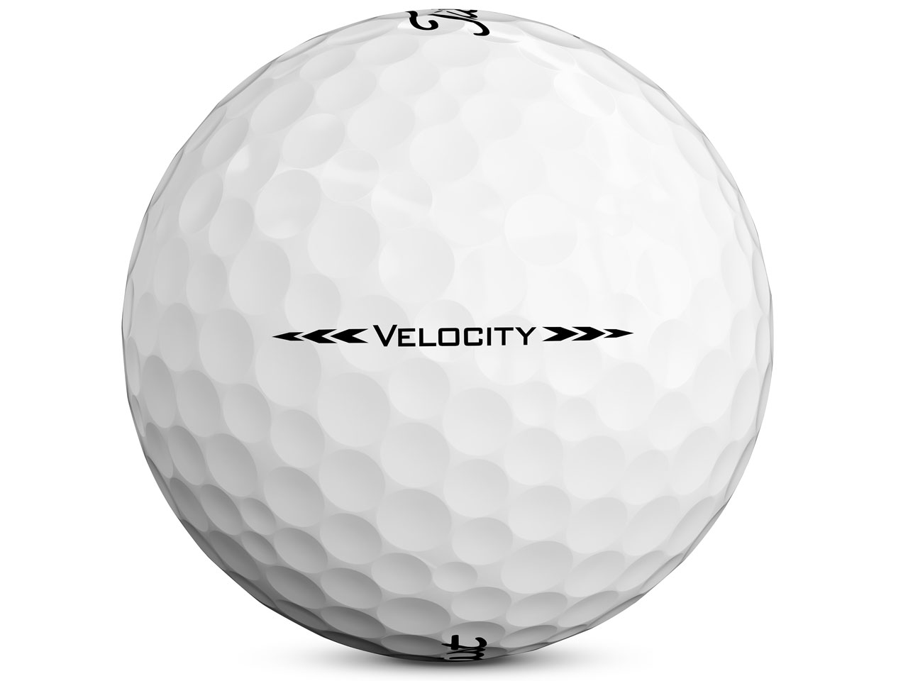 VELOCITY 2020�N���f�� [�z���C�g]
