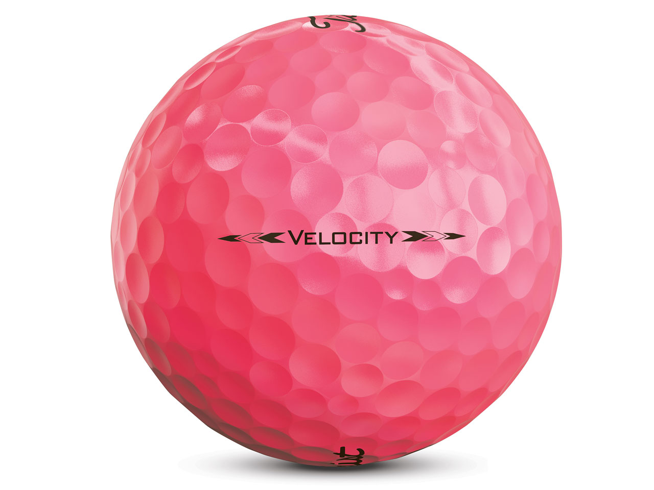 VELOCITY 2020�N���f�� [�s���N]