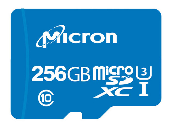LMC-MSD256GMCS [256GB] �̐��i�摜