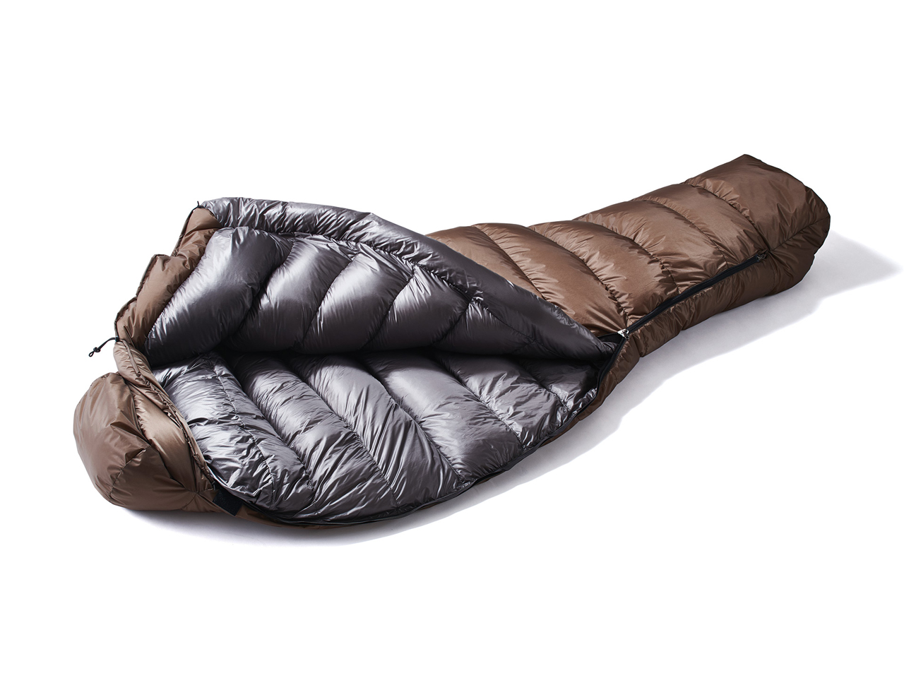 AURORA light 600DX ���M�����[ 2019�N���f�� [�u���E��]