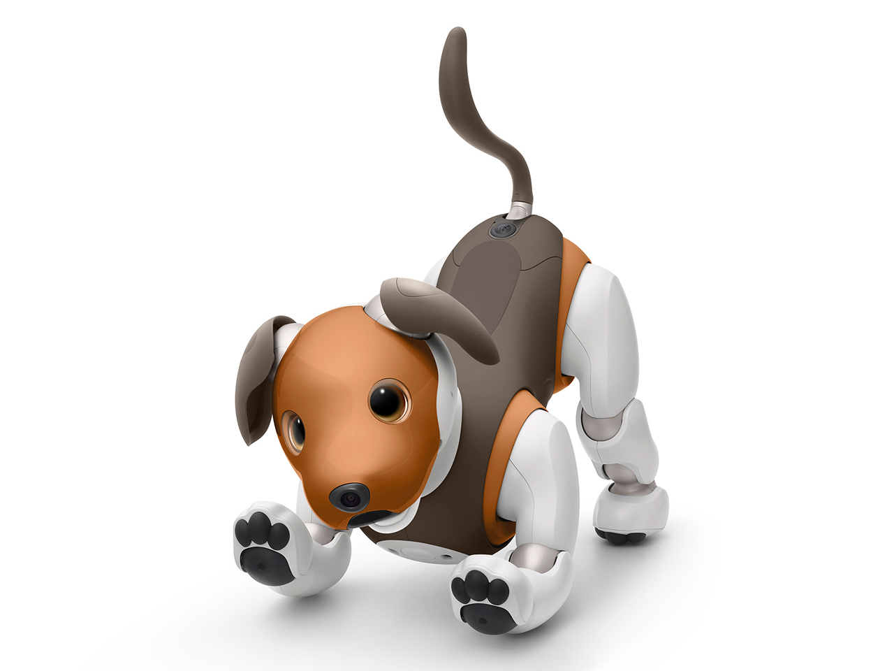 aibo �`���R �G�f�B�V���� ERS-1000 [�`���R���[�g�E�g���C�J���[] �̐��i�摜