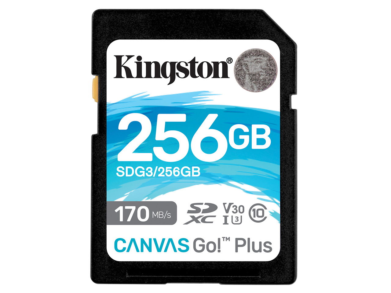 SDG3/256GB [256GB] �̐��i�摜
