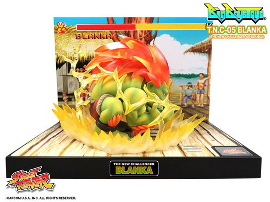 STREET FIGHTER T.N.C- 05 -�u�����J