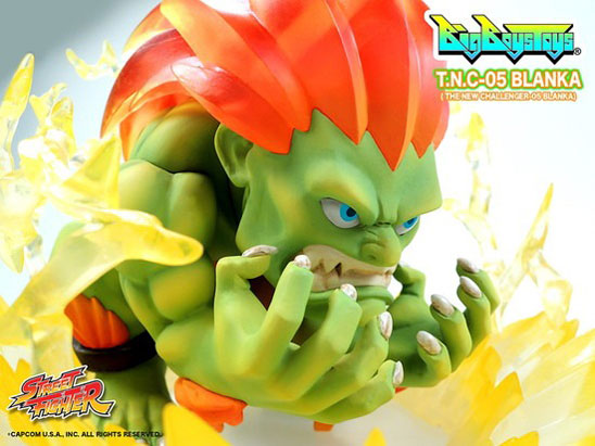 STREET FIGHTER T.N.C- 05 -�u�����J