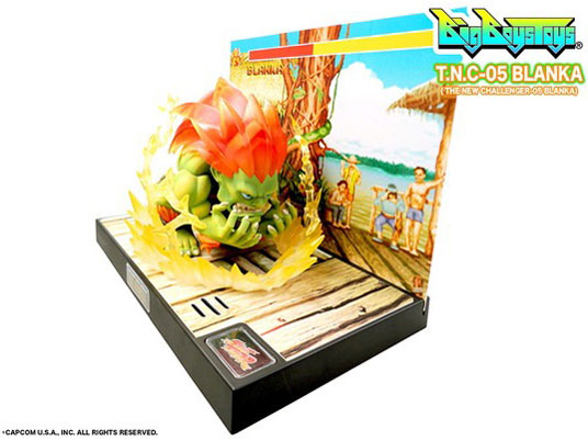 STREET FIGHTER T.N.C- 05 -�u�����J