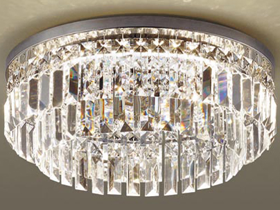 LGC20110 �̐��i�摜