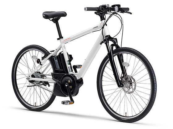 PAS Brace PA26B 2020�N���f�� [�I�t�z���C�g] + ��p�[�d��