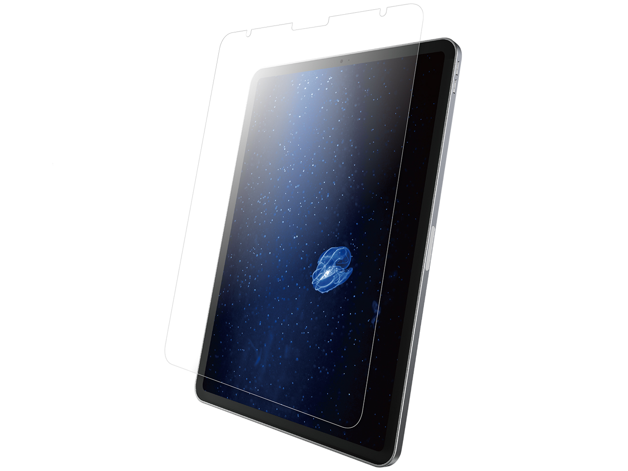 BSIPD2011FBCT �̐��i�摜