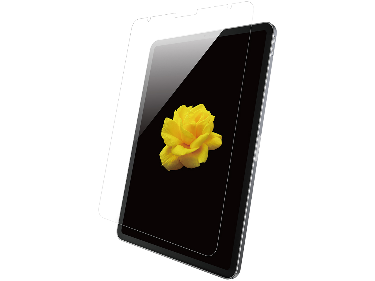 BSIPD2012FG �̐��i�摜