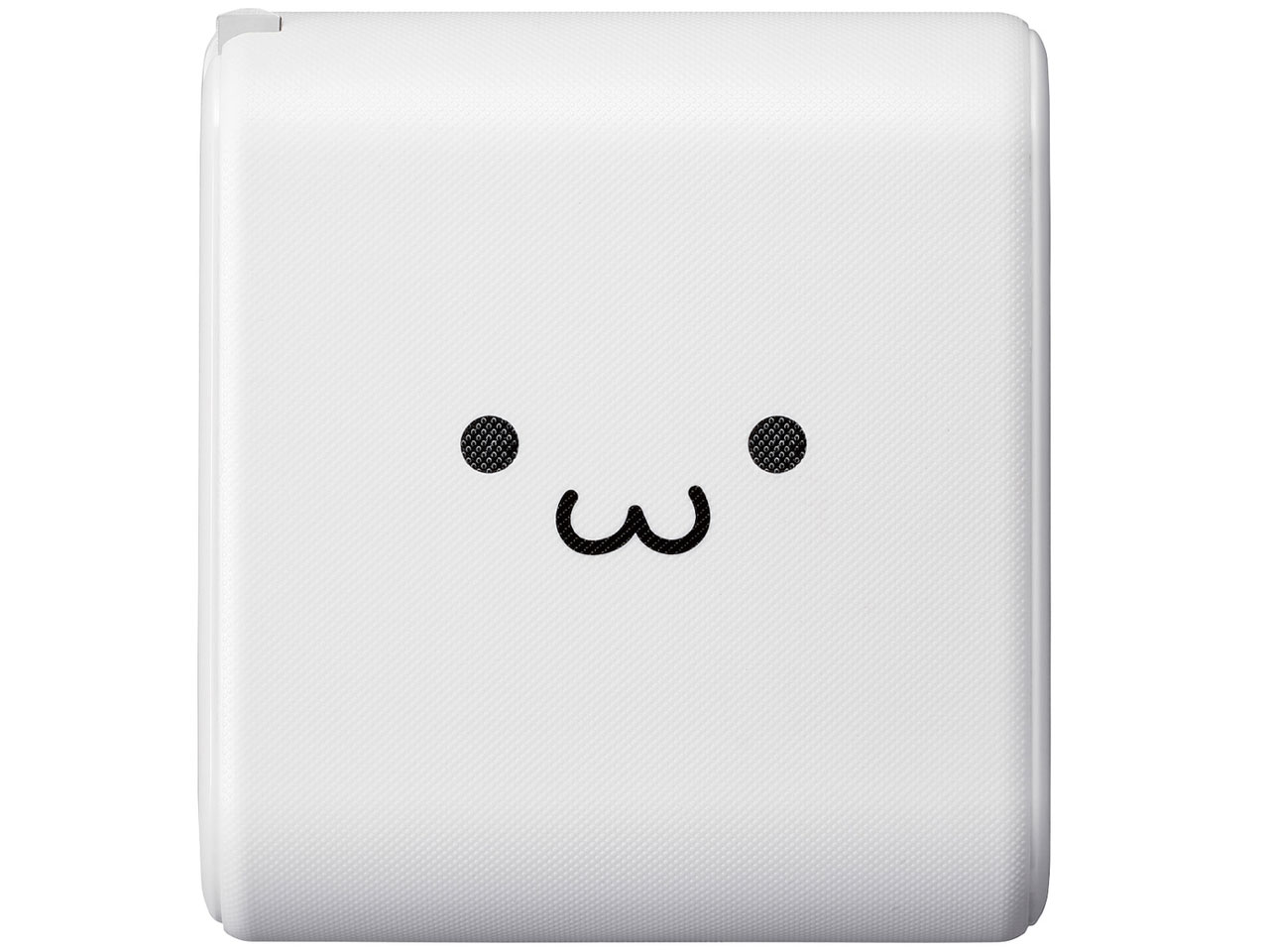 DE-AC04-10000WF [�z���C�g�t�F�C�X]