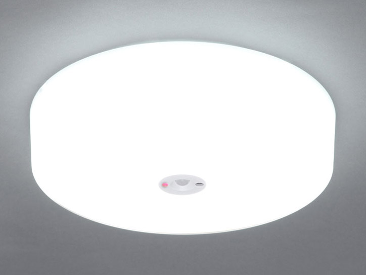 ECOHiLUX SCL20NMS-HL �̐��i�摜