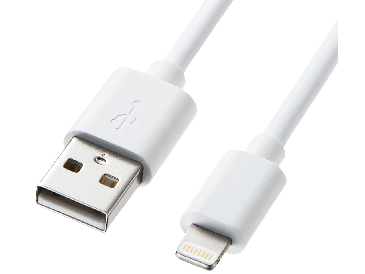 KB-IPLT10K3W [�z���C�g] �̐��i�摜