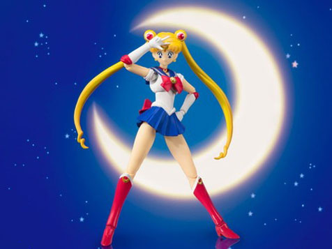 S.H.Figuarts �Z�[���[���[�� -Animation Color Edition-