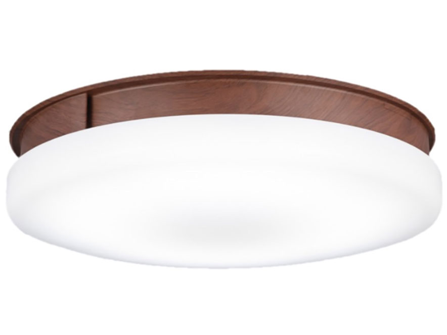 Slimac UZUKAZE FCE-505 �̐��i�摜