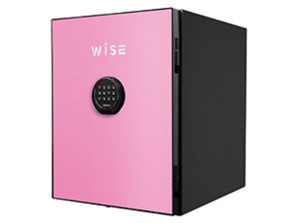 WS500ALP [�s���N]