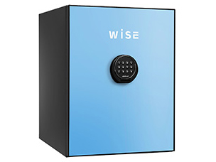 WS500ALB [���C�g�u���[] �̐��i�摜