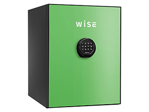 WS500ALG [�O���[��] �̐��i�摜