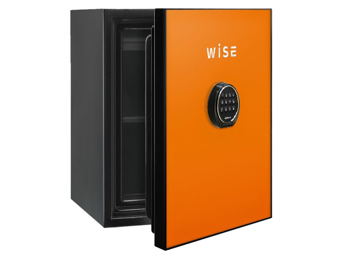 WS500ALO [�I�����W]