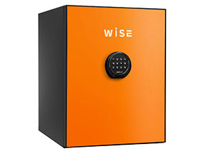 WS500ALO [�I�����W] �̐��i�摜