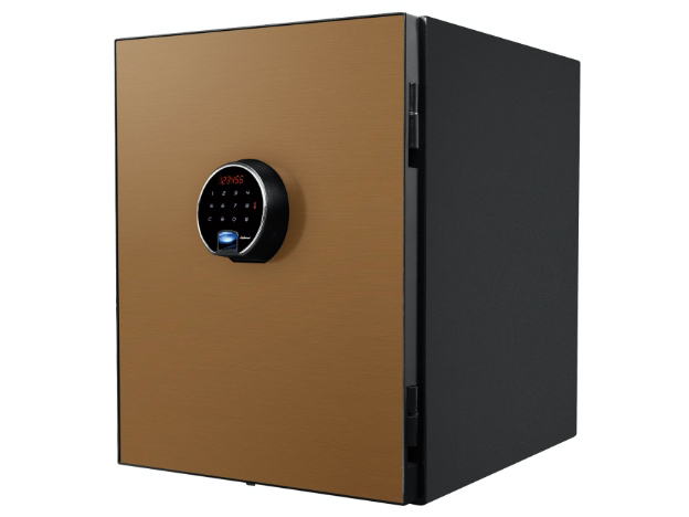 BY500CG [�V�����p���S�[���h]