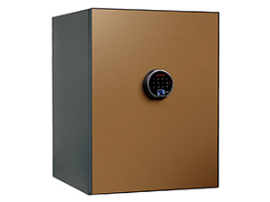 BY700CG [�V�����p���S�[���h] �̐��i�摜