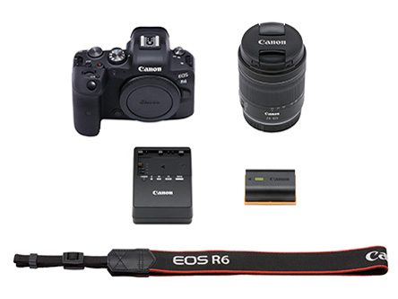 EOS R6 RF24-105 IS STM �����Y�L�b�g