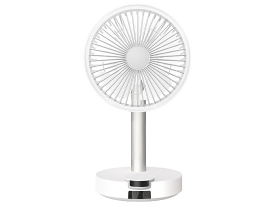 BFN301-W [�z���C�g] �̐��i�摜