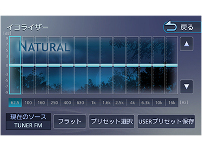 �ʑ��i�r MDV-D307BT